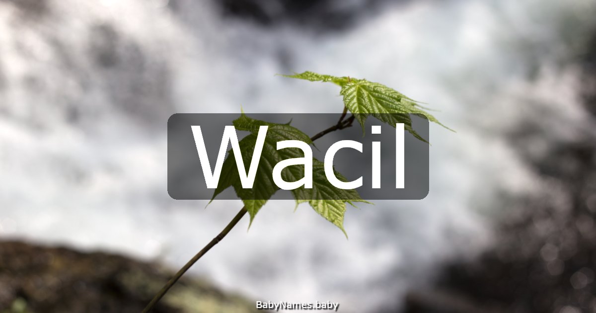 Wacil