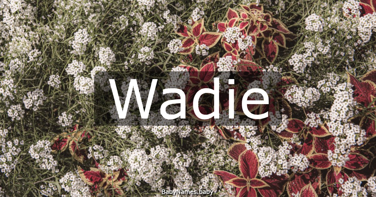Wadie
