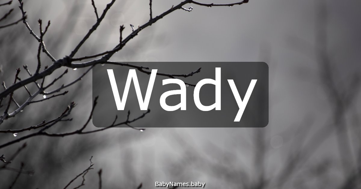 Wady