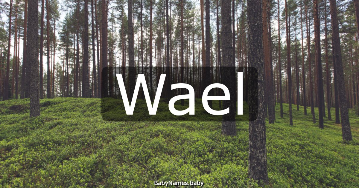 Wael