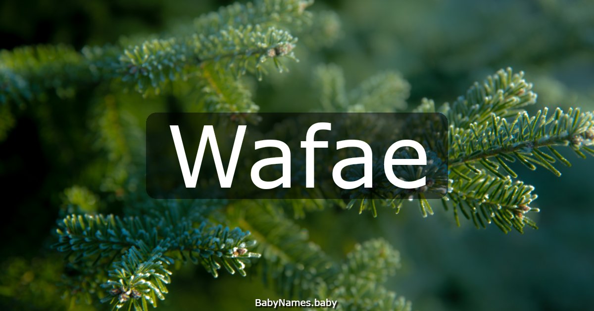 Wafae