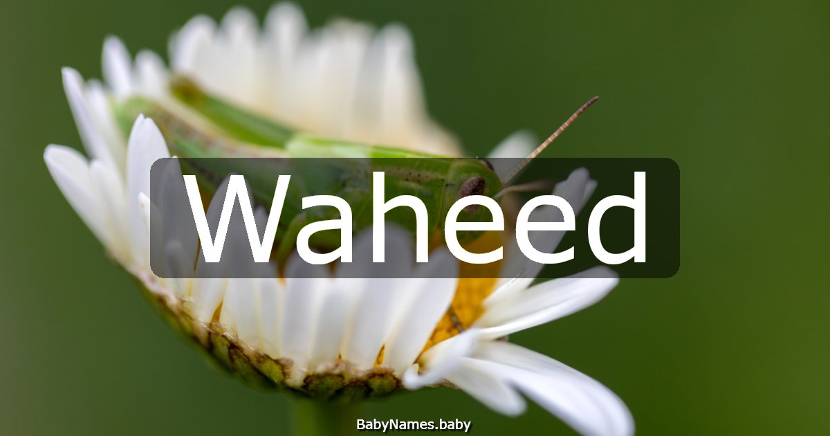Waheed