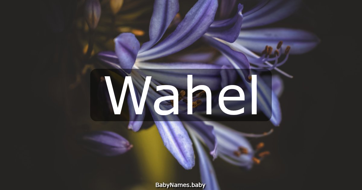 Wahel