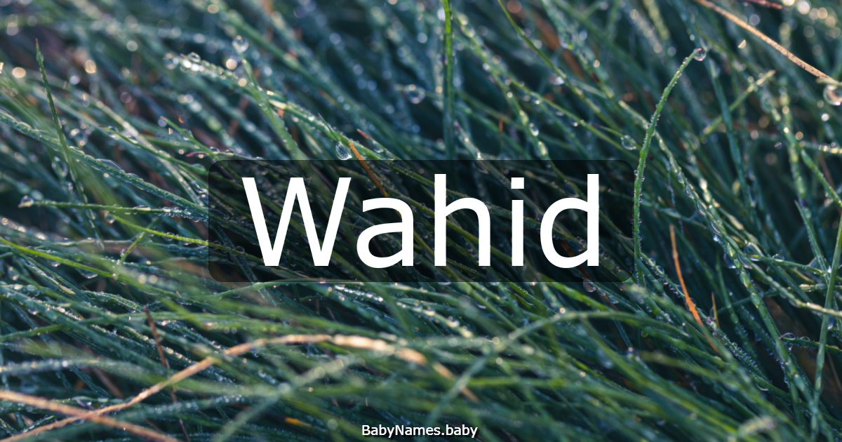 Wahid