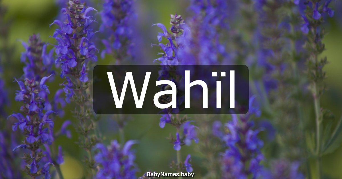 Wahïl