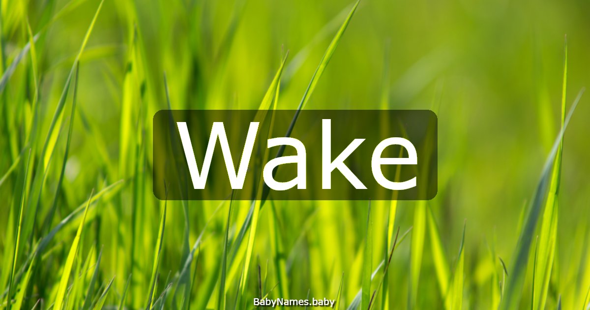 Wake