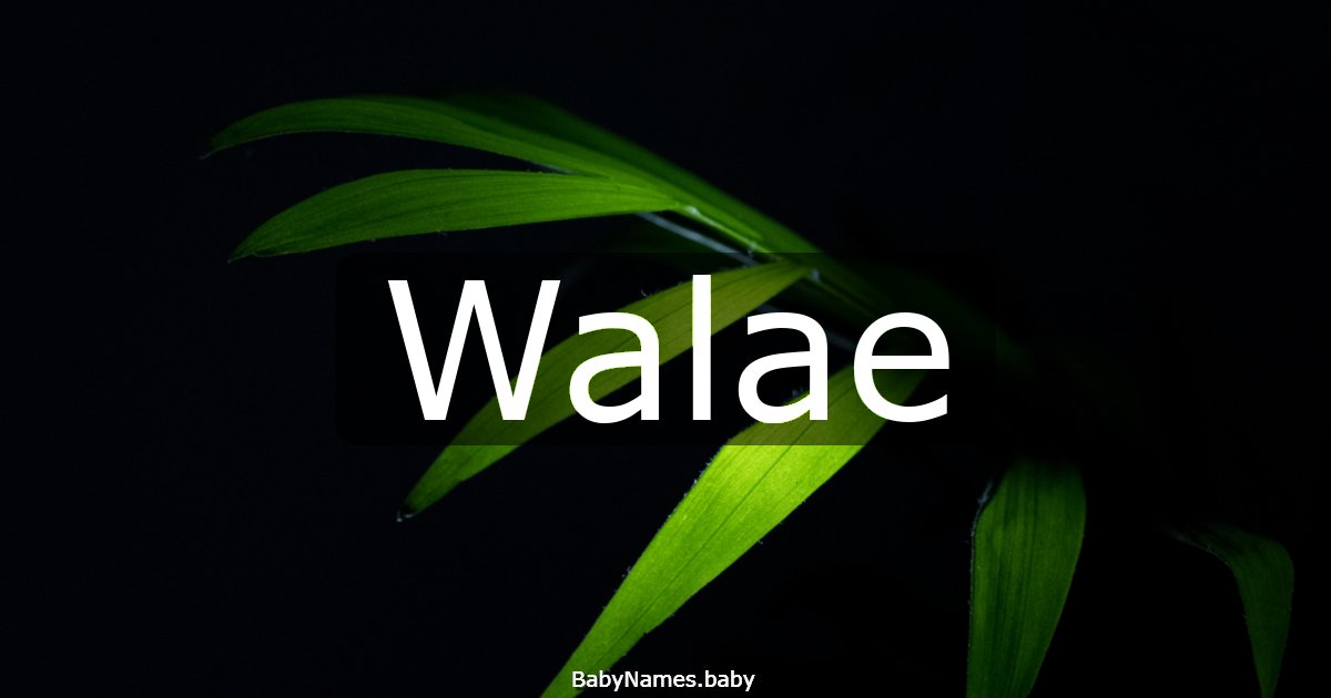 Walae