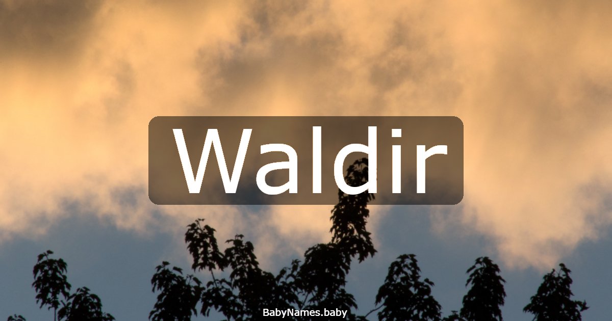 Waldir