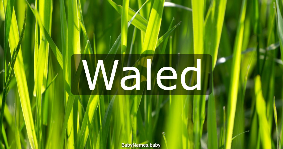 Waled