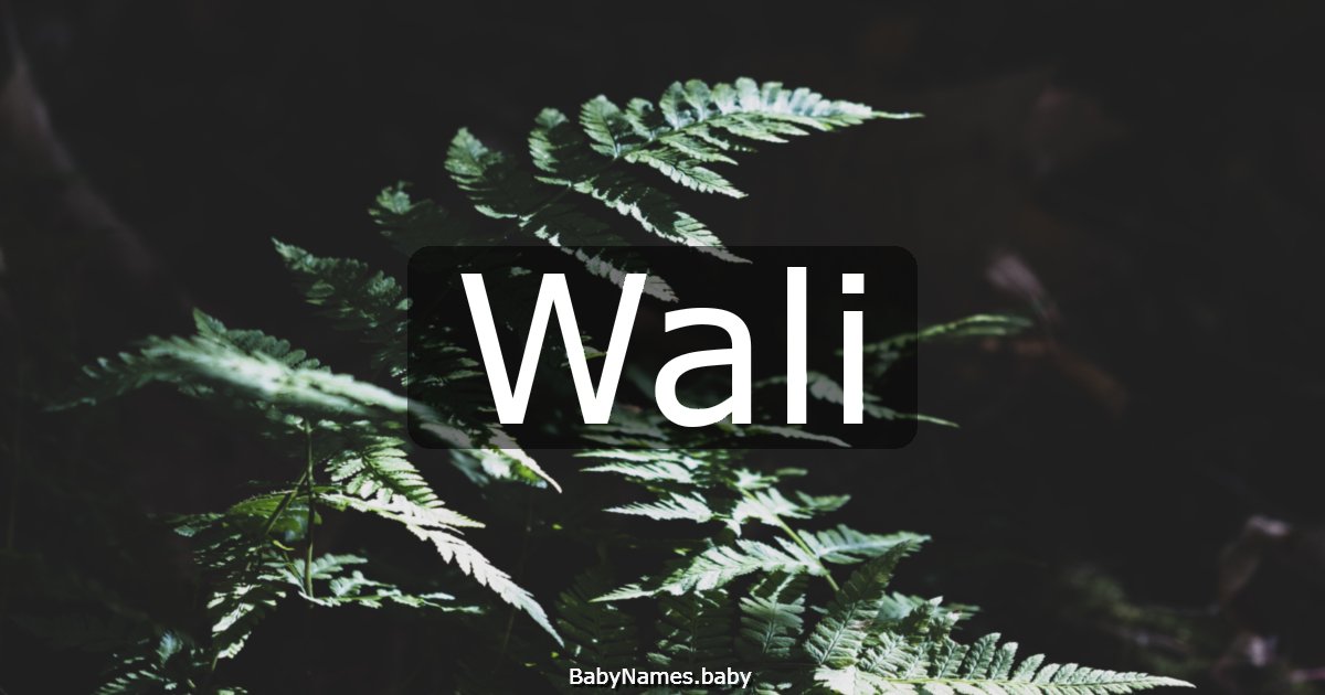 Wali