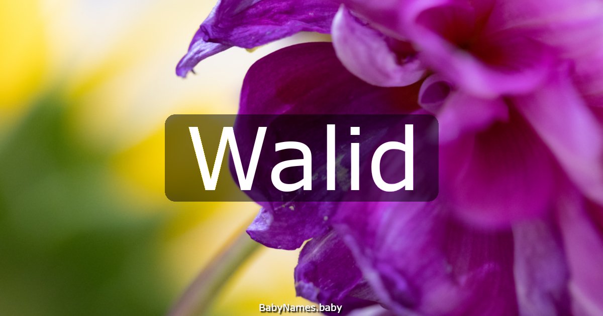 Walid