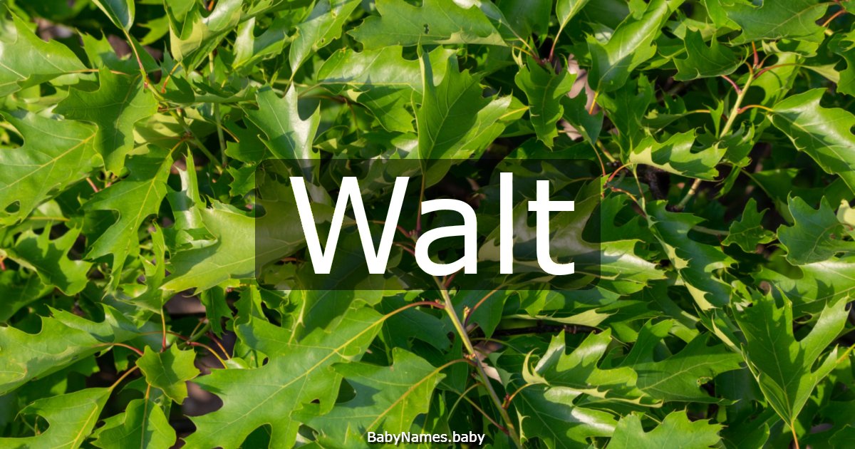 Walt