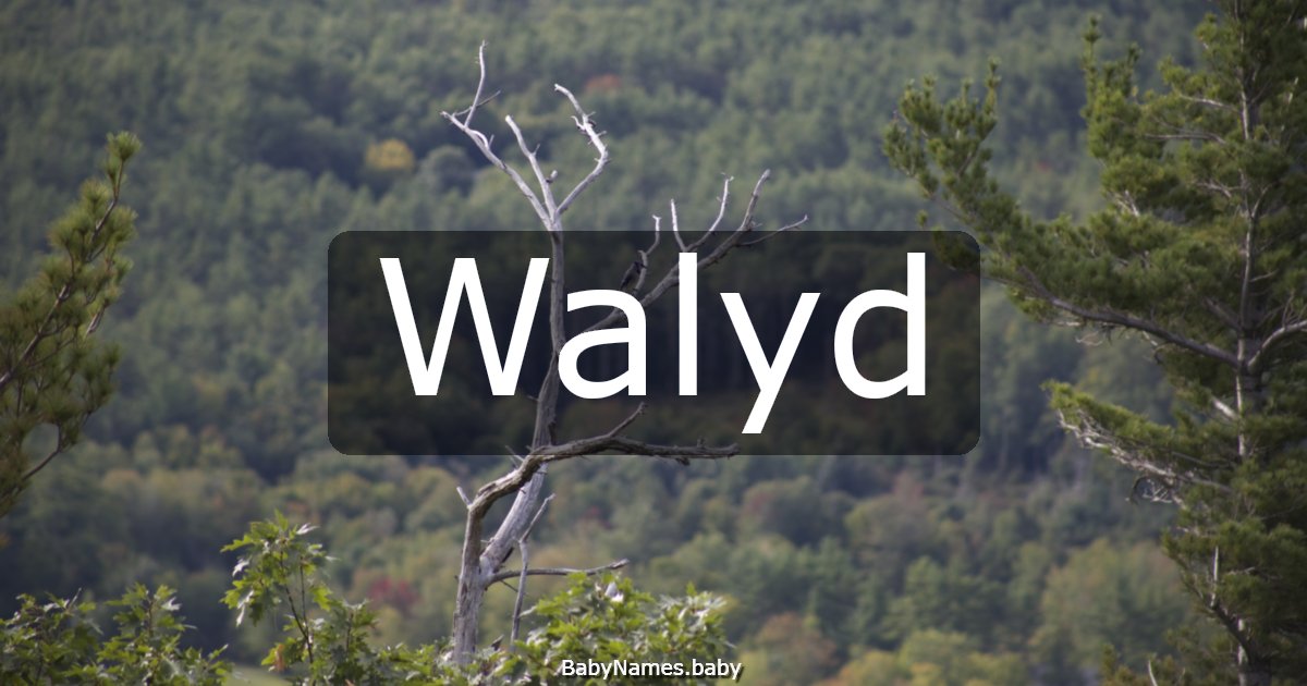 Walyd