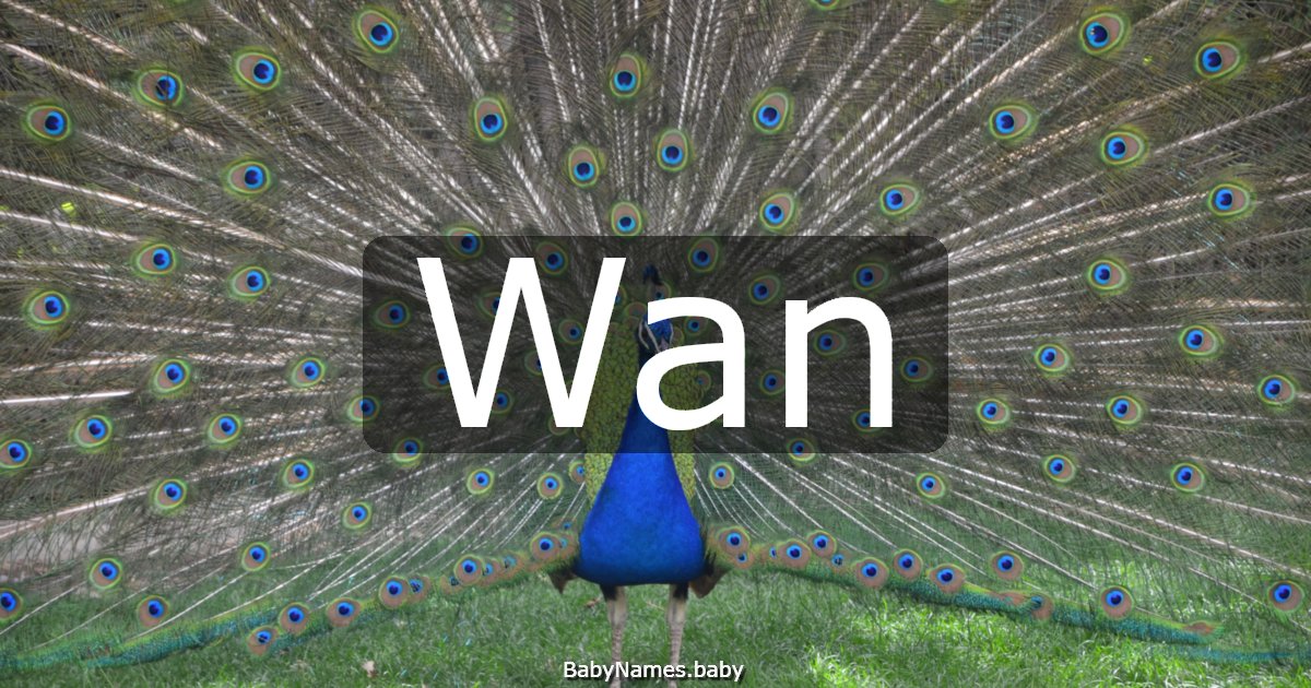 Wan