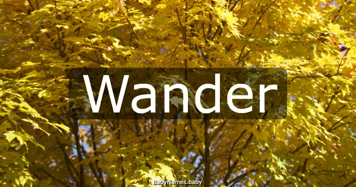 Wander