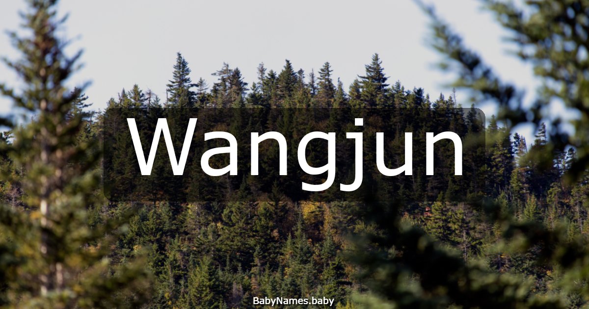 Wangjun