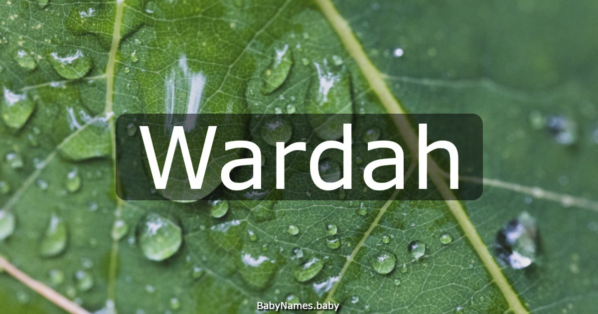 Wardah