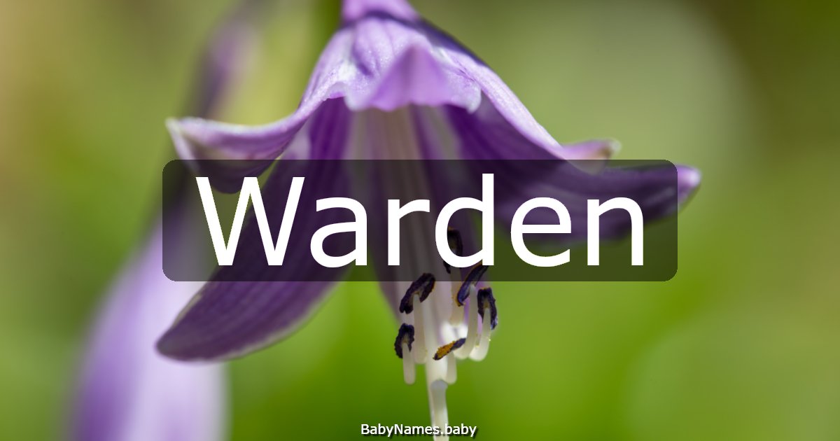 Warden