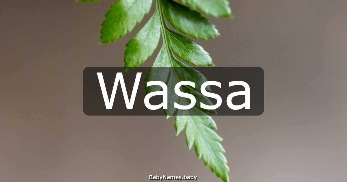 Wassa