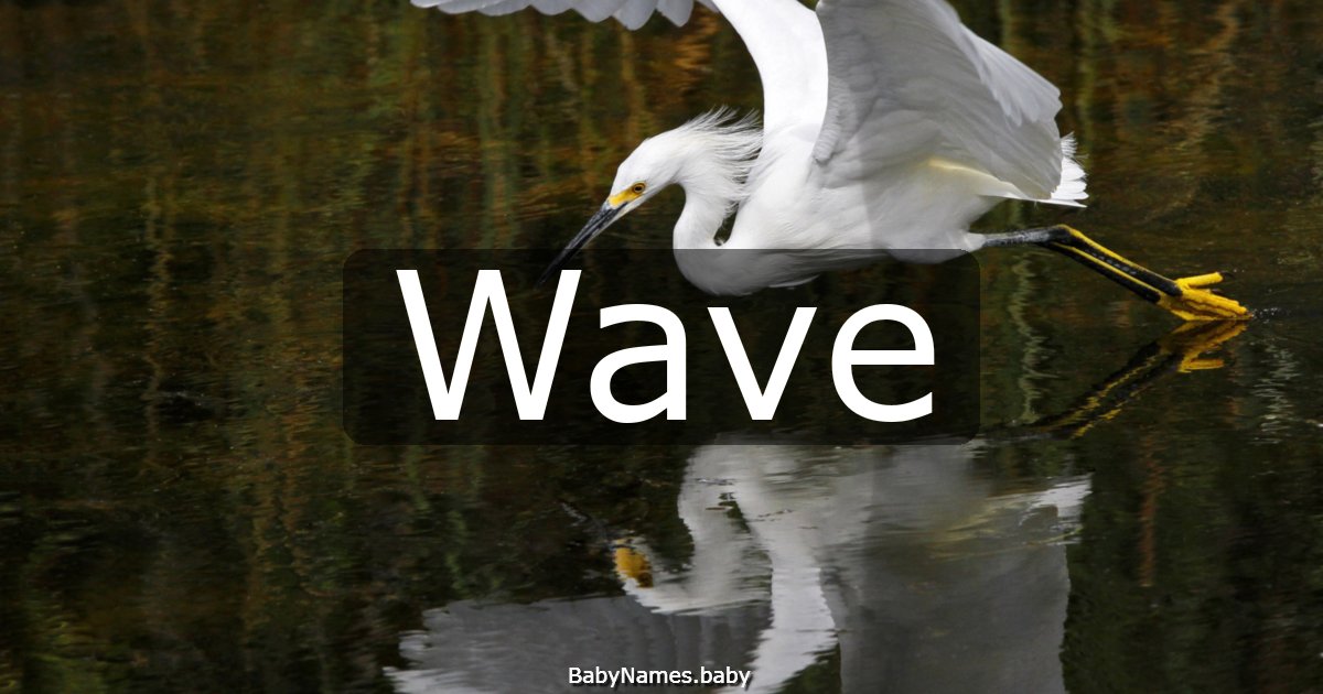 Wave