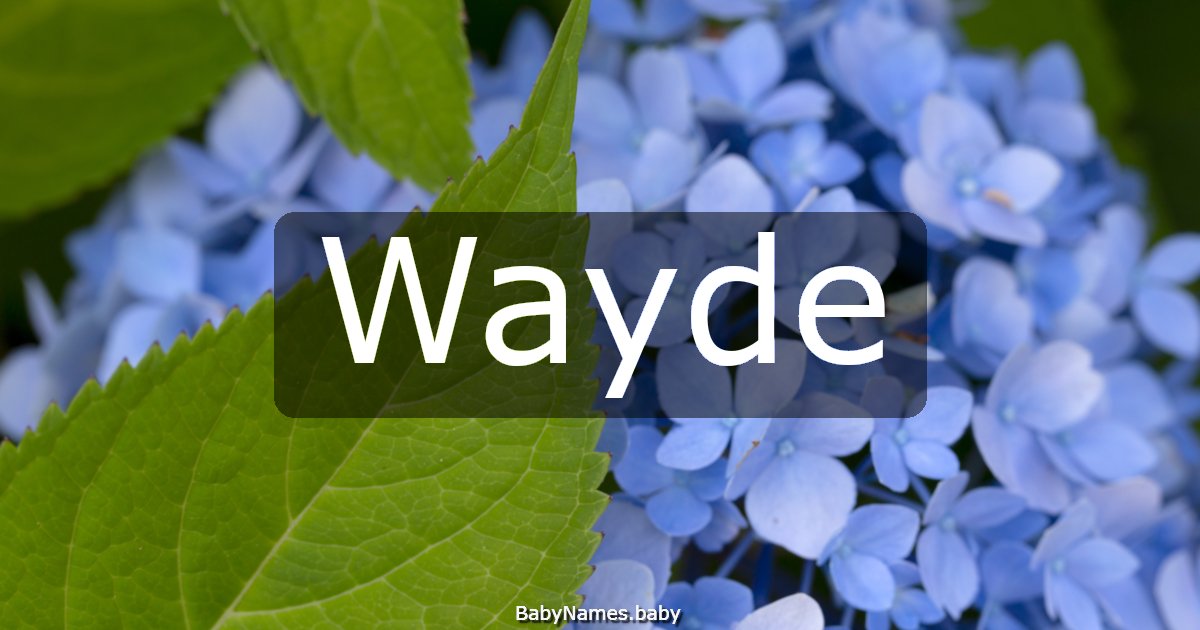 Wayde