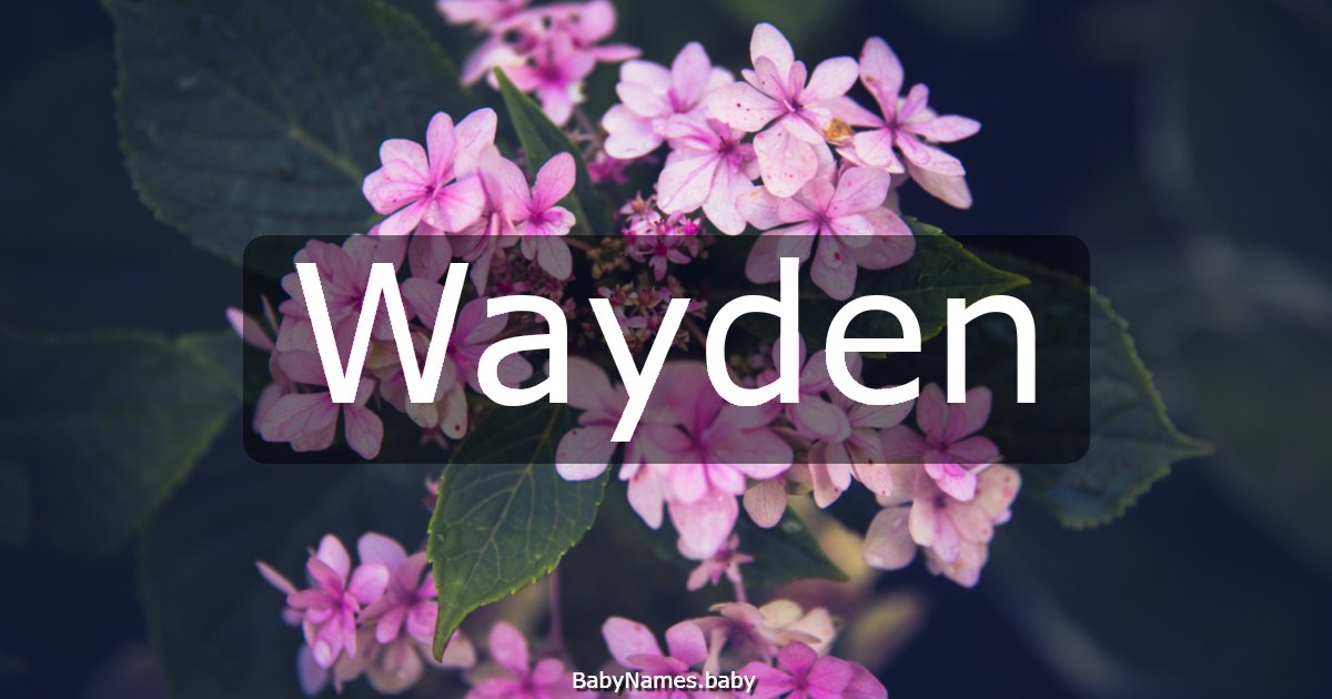 Wayden
