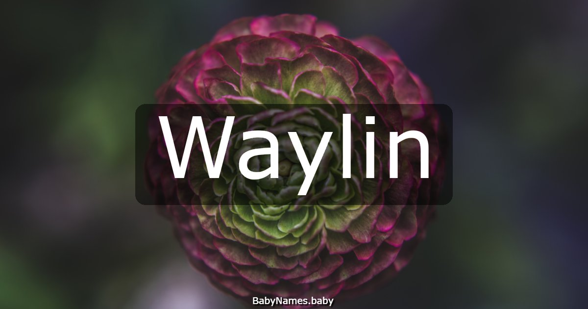 Waylin