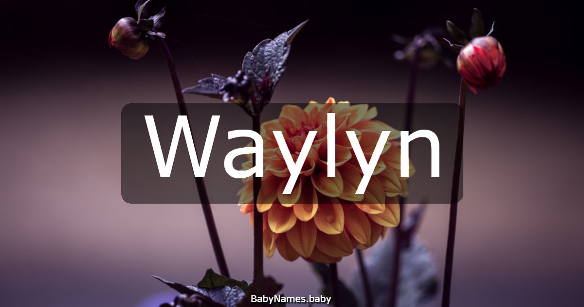 Waylyn
