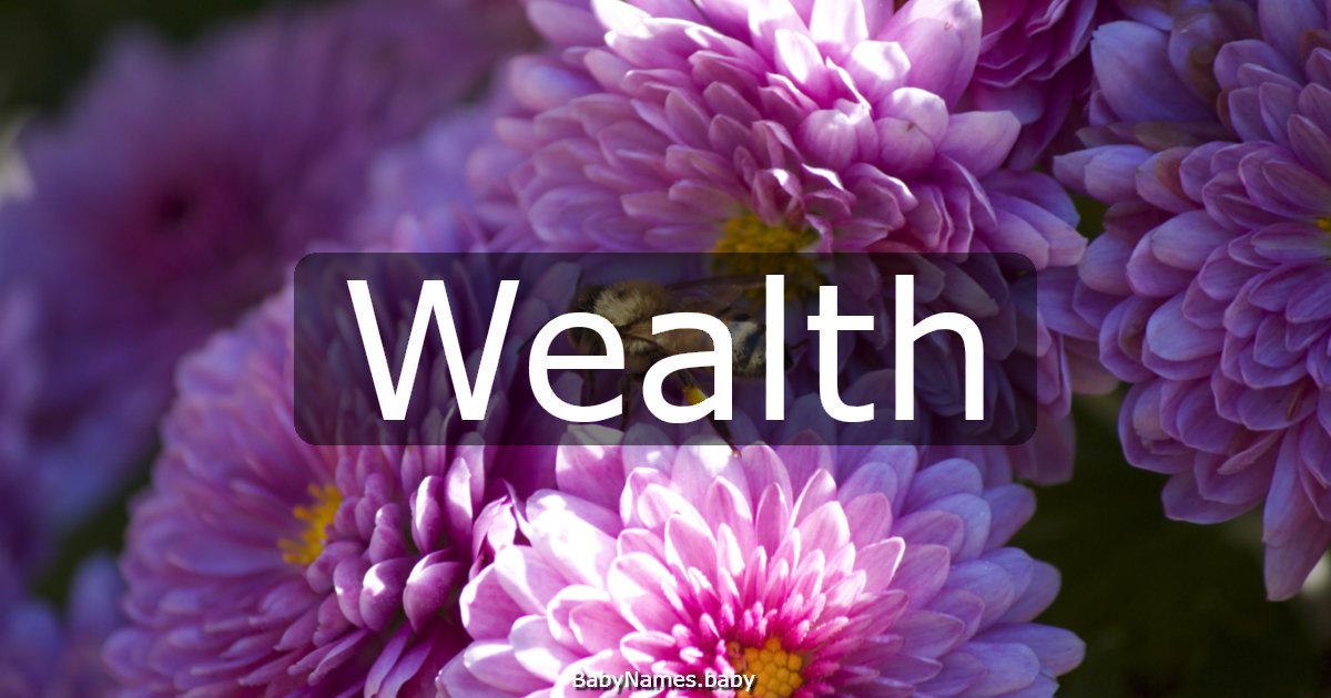 Wealth