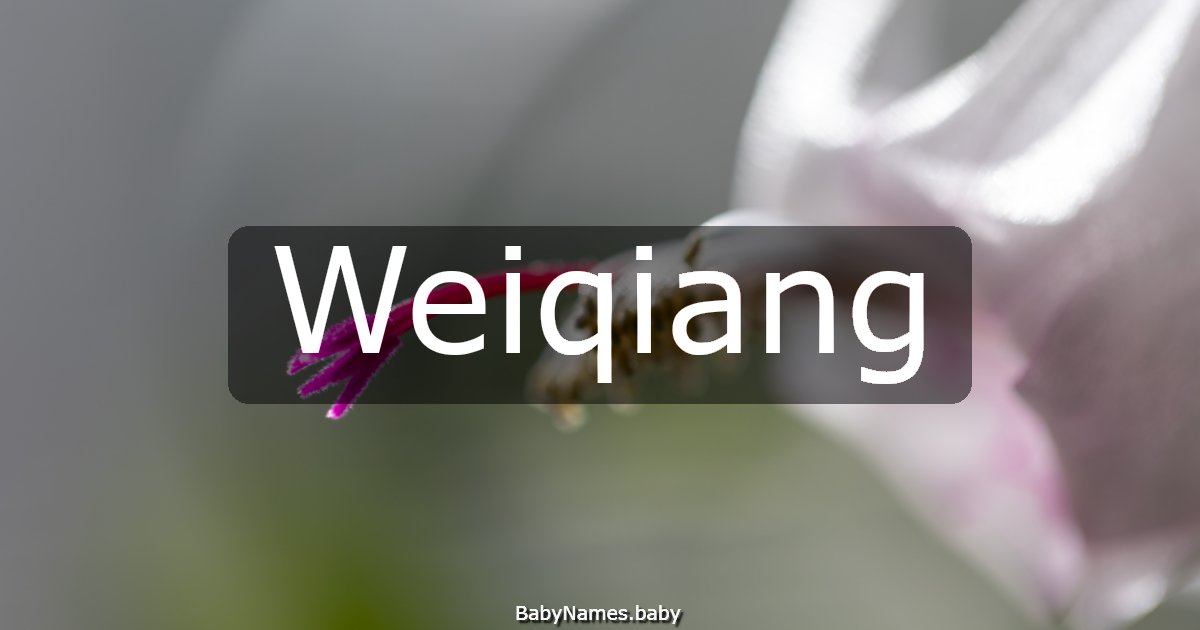 Weiqiang