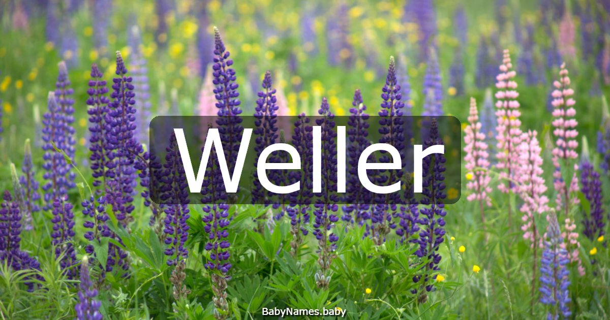 Weller