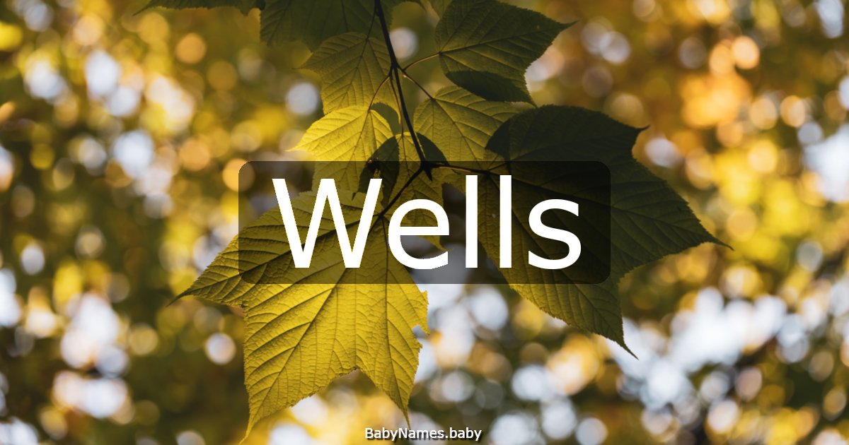 Wells