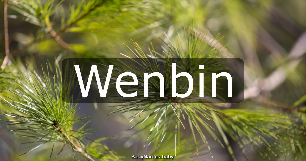 Wenbin