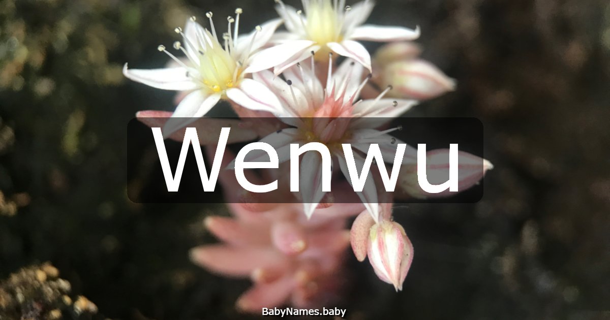 Wenwu