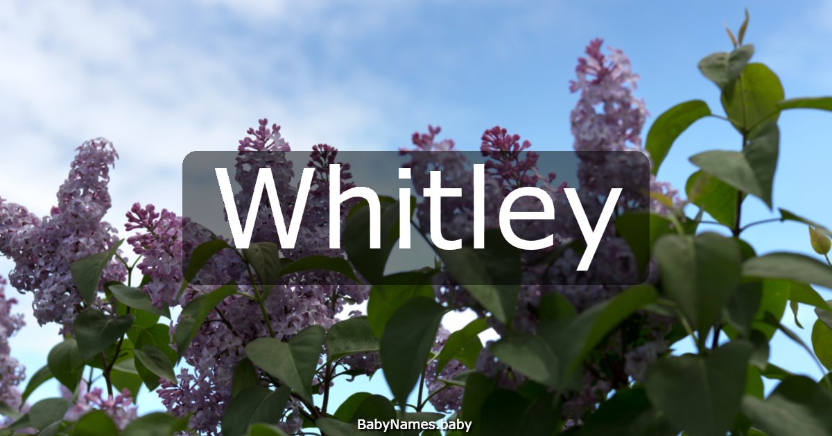 Whitley