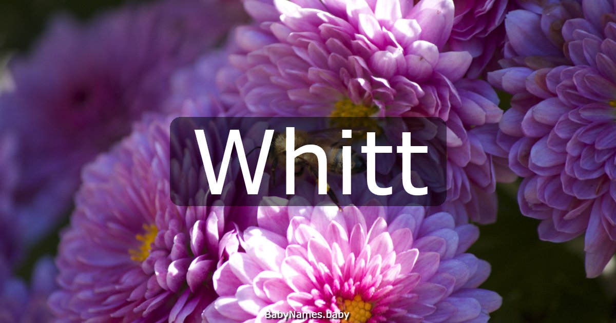 Whitt