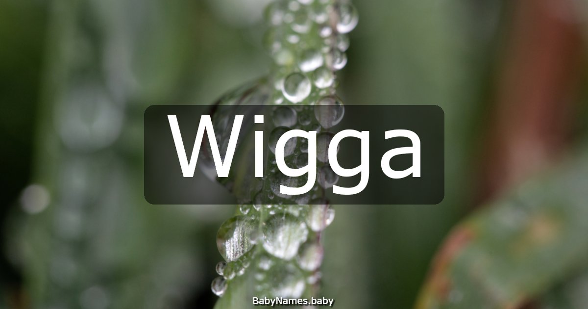 Wigga