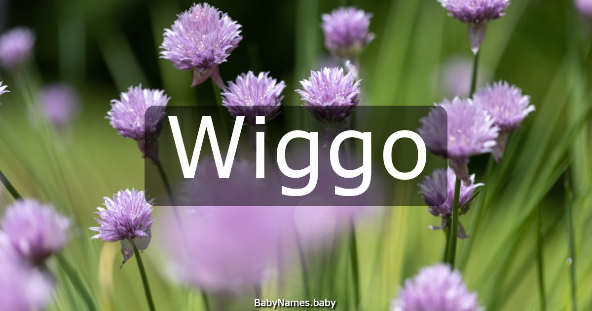 Wiggo