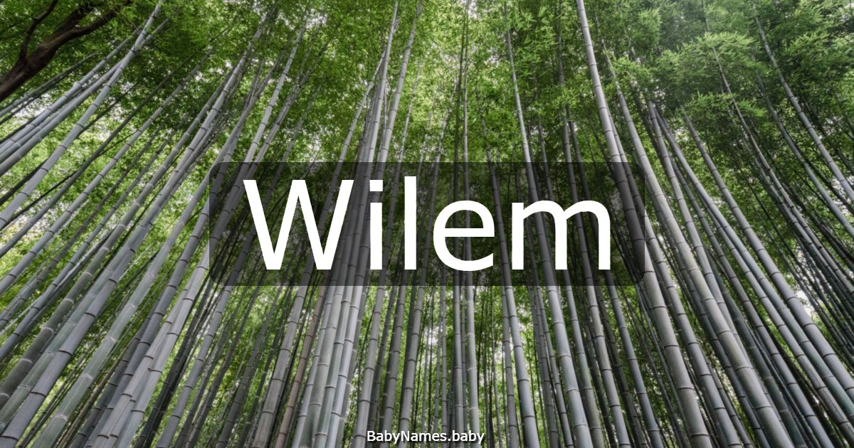 Wilem