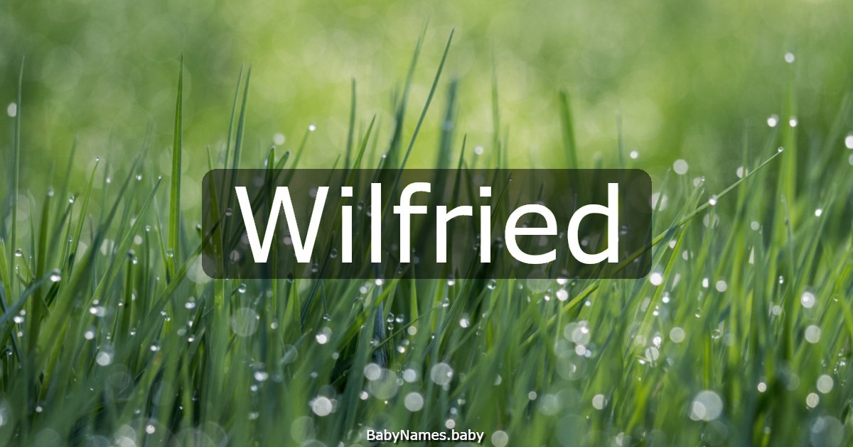 Wilfried