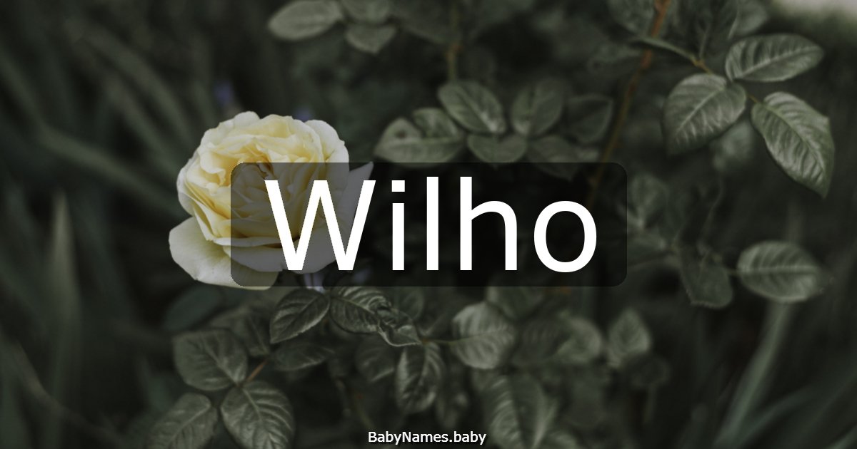 Wilho