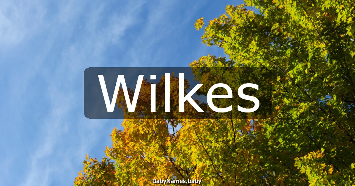 Wilkes