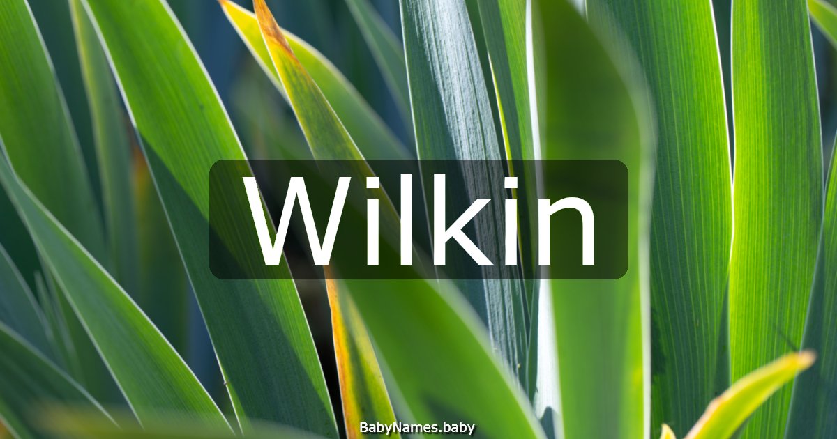 Wilkin