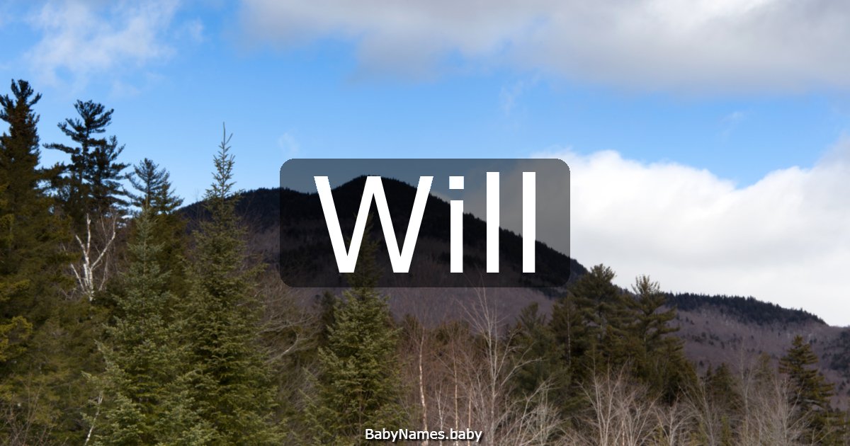 Will