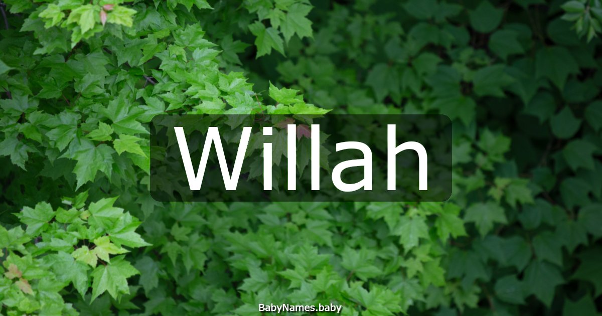 Willah