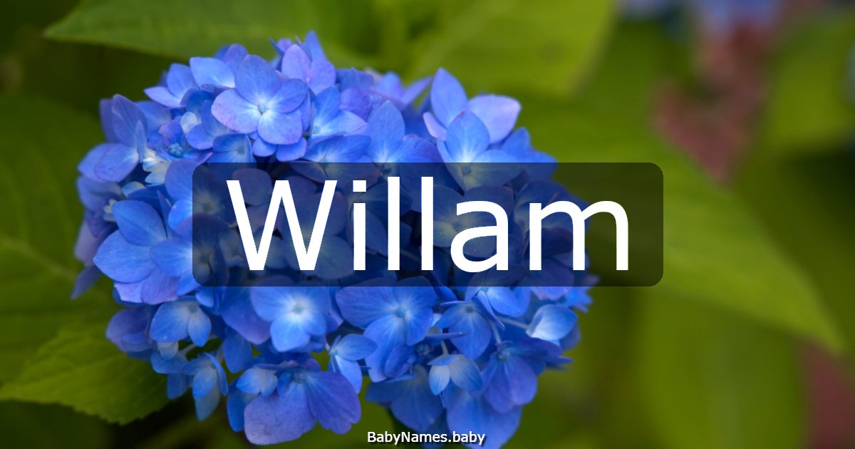 Willam