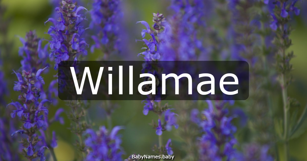 Willamae