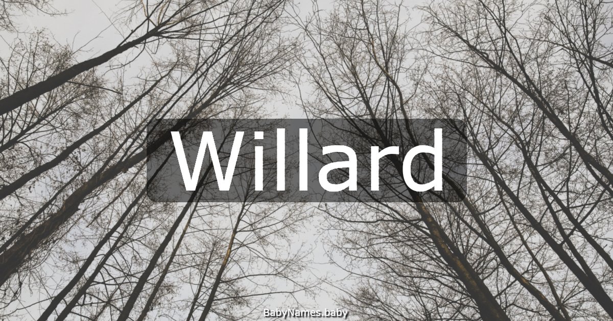 Willard