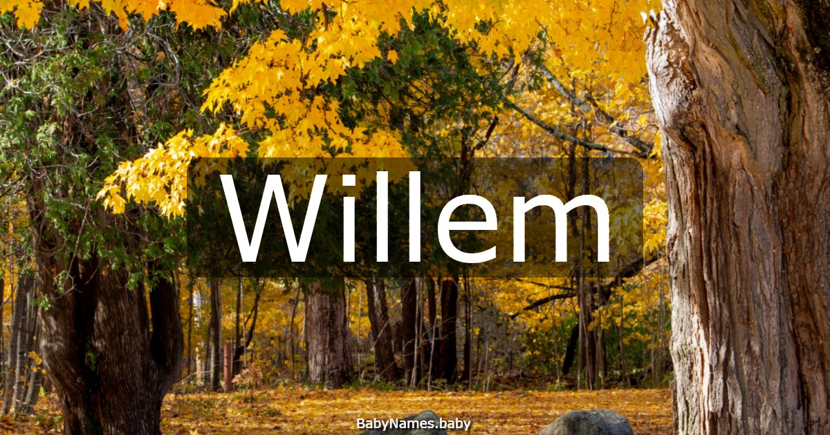 Willem