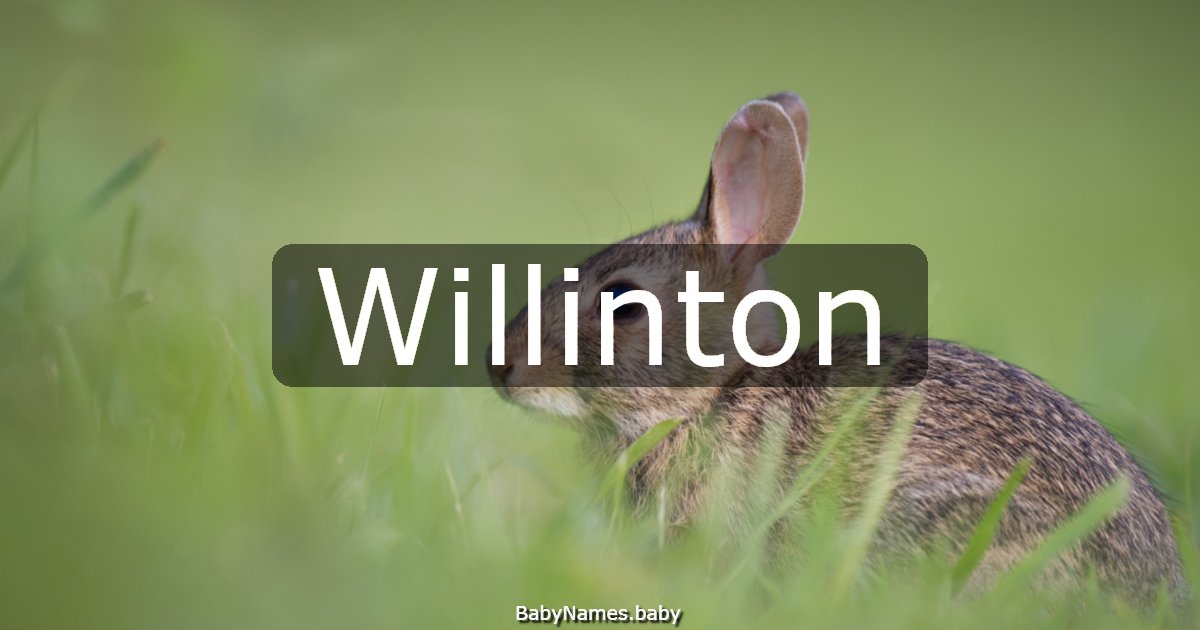 Willinton